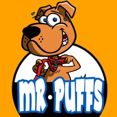 Professional LOGO DESIGN – Cartoon Mascot – UNLIMITED REVISIONS – Source File