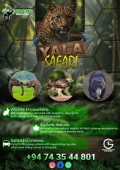 CUSTOM FLYER DESIGN,LOGO Single/Double Sides Leaflet DESIGN ONLY, Unique