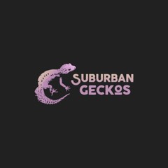 Original Logo Design – eye-catching Logo Design – Launch Your Brand Today! 🚀