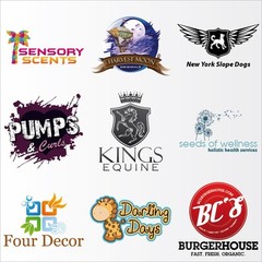 CUSTOM LOGO DESIGN: Professional Service, Business card and Letterhead FREE