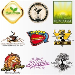 CUSTOM LOGO DESIGN: Professional Service, Business card and Letterhead FREE