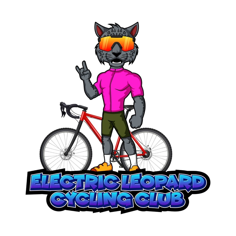 CUSTOM MASCOT LOGO | CARTOON LOGO DESIGN SERVICE