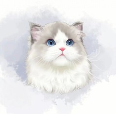 Creating customized pet pictures/logo