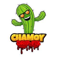 CUSTOM MASCOT LOGO | CARTOON LOGO DESIGN SERVICE