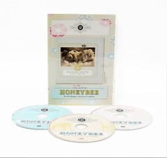 Graphic Authority Collection Honeybee for Child Photography 3 DVD Template Set