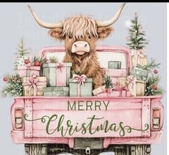 Order your Christmas t-shirts, unique and bright designs, soft and durable .
