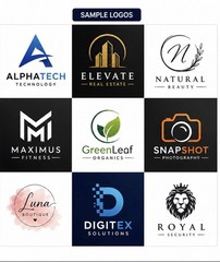 Professional Custom Logo Design Modern Business Logo
