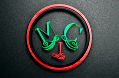 Graphic Designer Logo Designer 3D Logo
