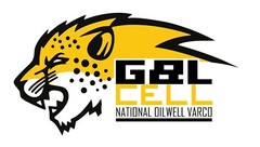 Professional Custom LOGO design,Unlimited Revisions and free source files