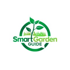 PROFESSIONAL CUSTOM LOGO DESIGN FOR BUSINESS + UNLIMITED REVISION | GRAPHICS
