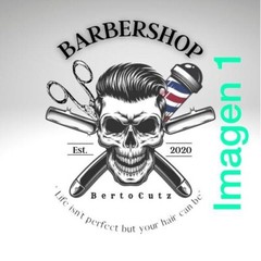CUSTOM LOGO DESIGN: Professional Service, LOGO/logo