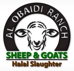 Professional Custom Logo Design | Business, Brand, Company, Modern Logo