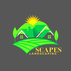 Logo Designer Creator Graphic Designer
