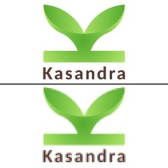 I will professionally redraw and vectorize your logo – high quality & fast deliv