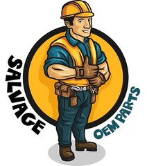 Professional Custom LOGO design,Unlimited Revisions and free source files