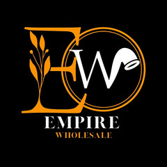 Logo Designer Graphic Designer