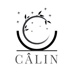 Logo Designer Graphic Designer