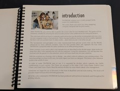 Tintbook: a Simple Selection Guide to Process Tint Combinations