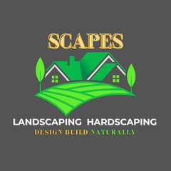 Professional Designer Graphic Business Best Logo Creator USA Seller Revision