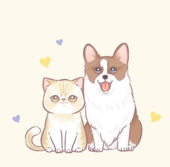 Creating customized pet pictures/logo